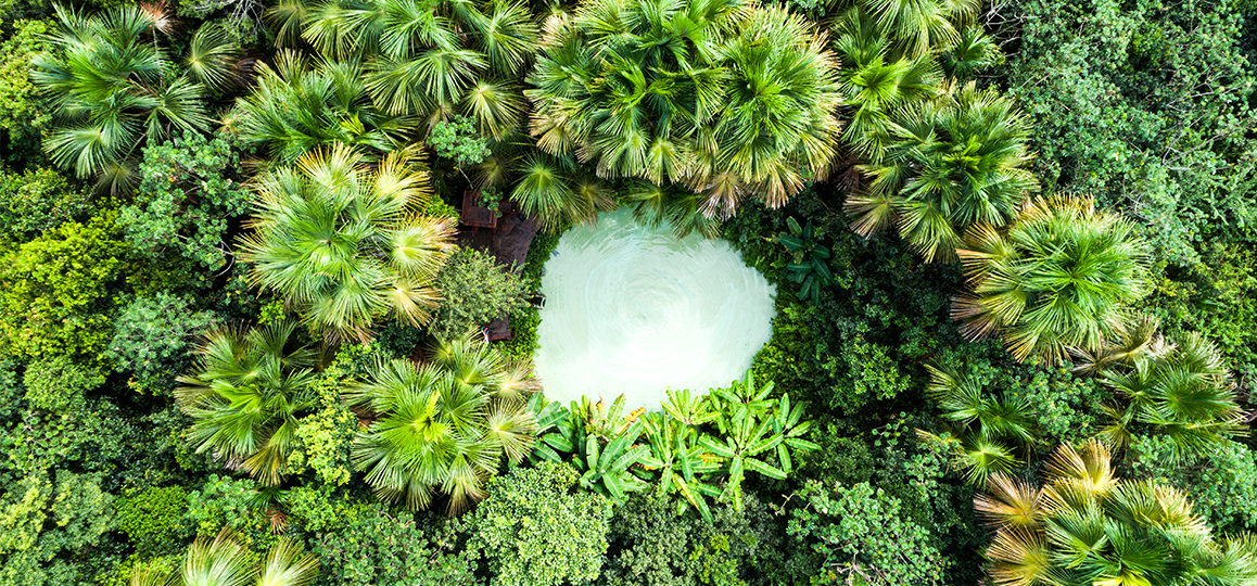 Foto aérea do Fervedouro Bela Vista (poço redondo de água ao centro da imagem) e da Floresta em Jalapão (vegetação em volta do fervedouro).