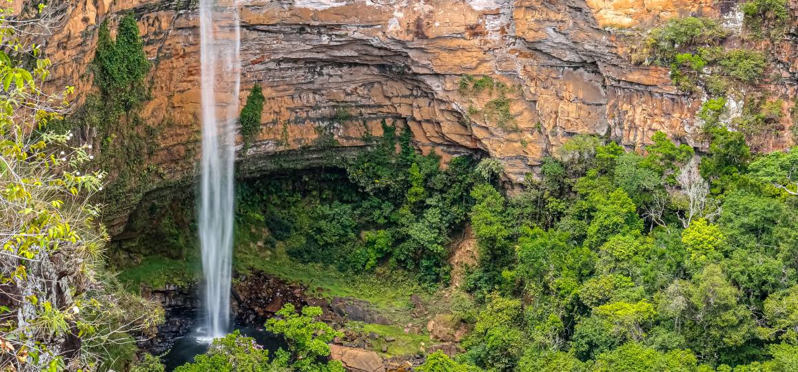 Foto da Cachoeira Véu da Noiva, na Chapada dos Guimarães, caindo ao longe de um paredão rochoso. A base da cachoeira forma um lago cercado por vegetação.
